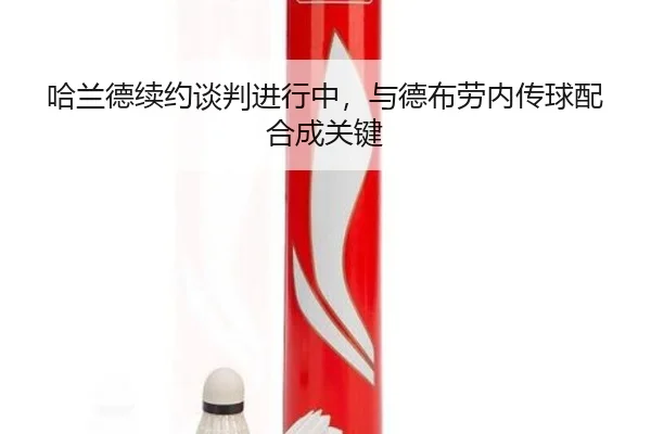 ha-lan-de-xu-yue-tan-pan-jin-xing-zhong-yu-de-bu-lao-nei-zhuan-qiu-pei-he-cheng-guan-jian-3-643.jpg
