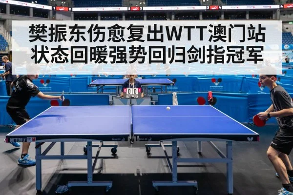 樊振东伤愈复出WTT澳门站状态回暖强势回归剑指冠军